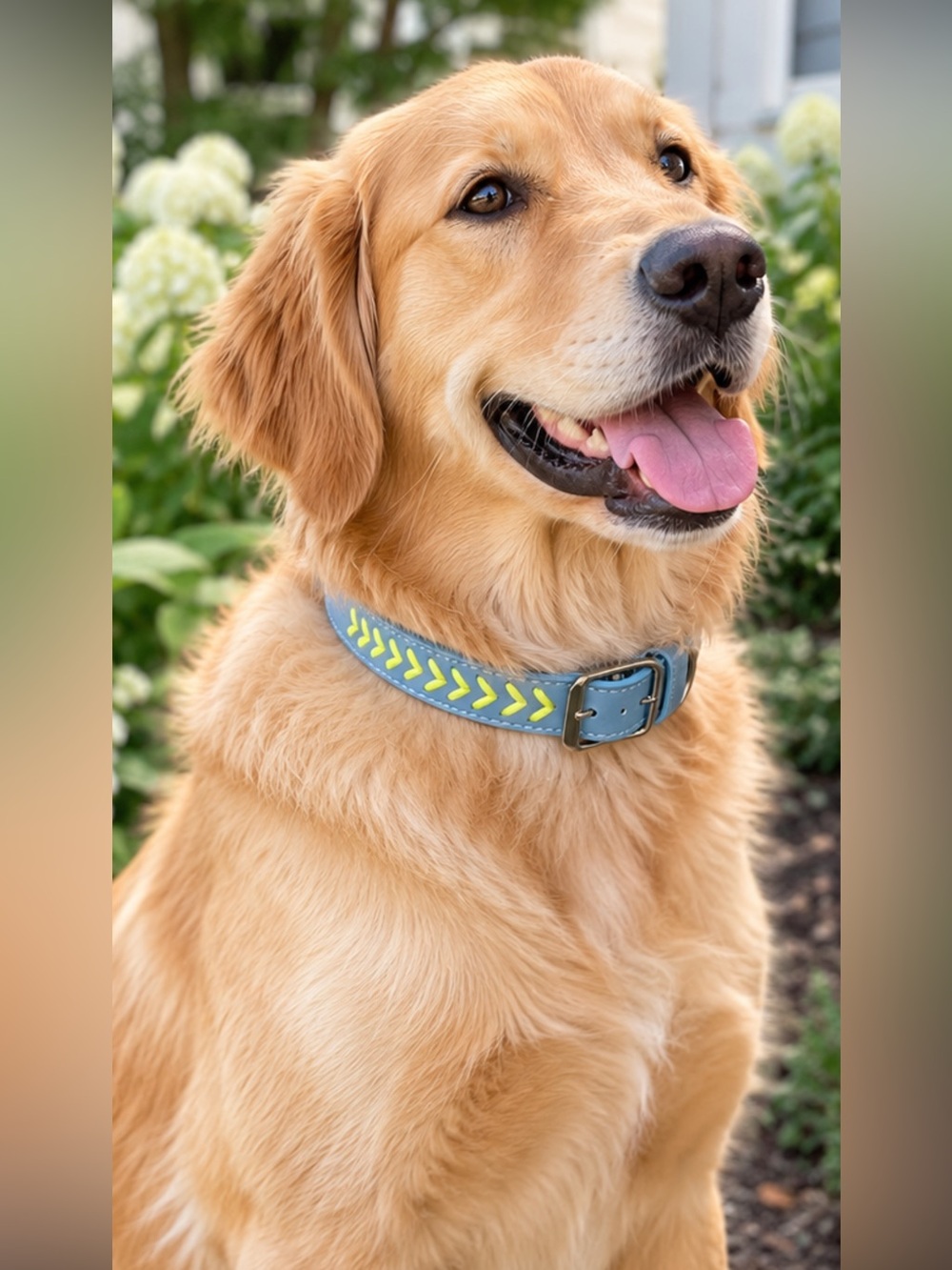 Dog Collar Large Blue and Green Chevron NWT 18-21inches